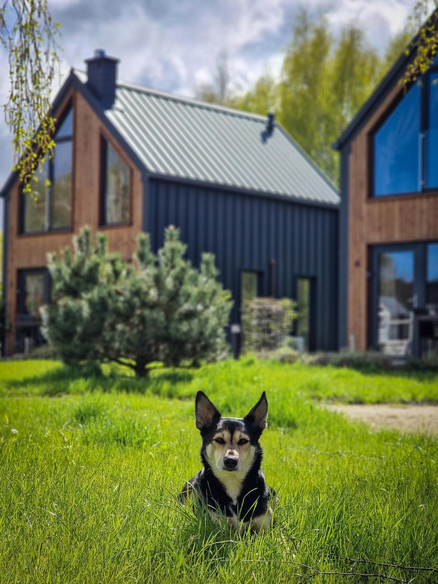 Domki W Naturze Lubiatowo  Exterior foto
